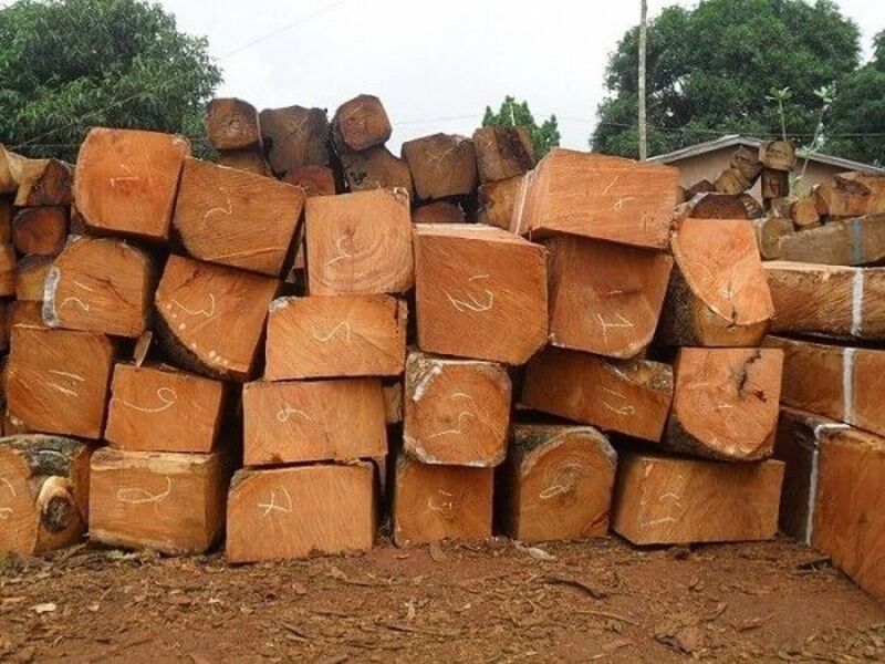 Nội thất gỗ Xoan Đào là gì?